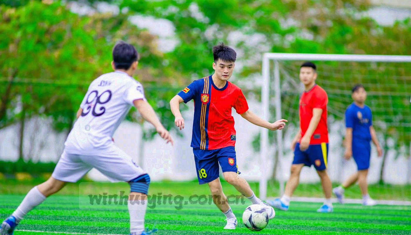 抽象折线与柱状数据图形，分别对应 30 天、90 天、365 天三种窗口